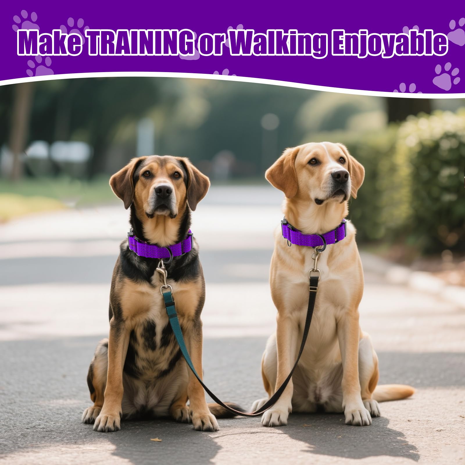 Collar morado JOOCPUP: duradero y cómodo para paseos diarios y juegos.