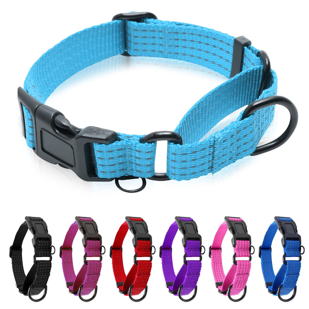 JOOCPUP collar martingale reflectante en azul cielo para mayor visibilidad