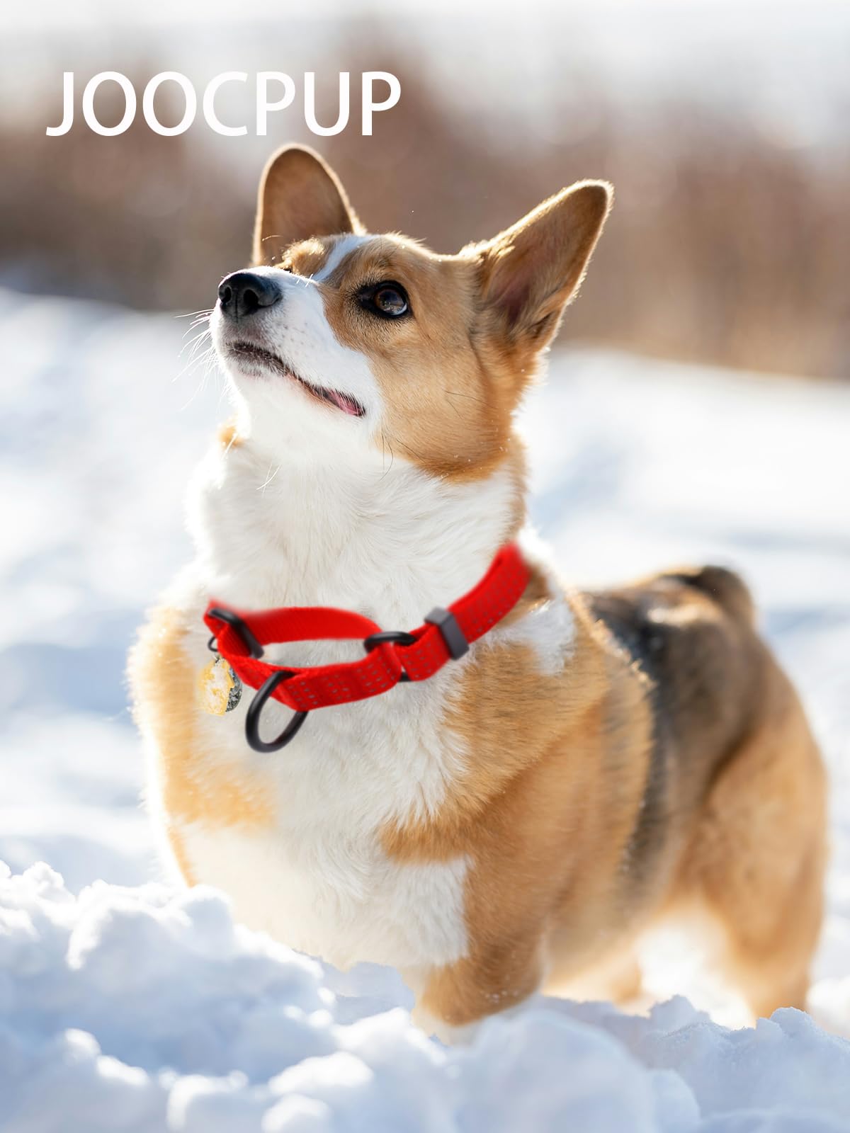 El rojo destaca la visibilidad y estilo del collar