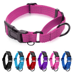 JOOCPUP martingale collar muestra ajuste perfecto para paseos diarios.