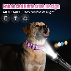 Collar martingale de JOOCPUP ofrece seguridad y control durante el paseo.