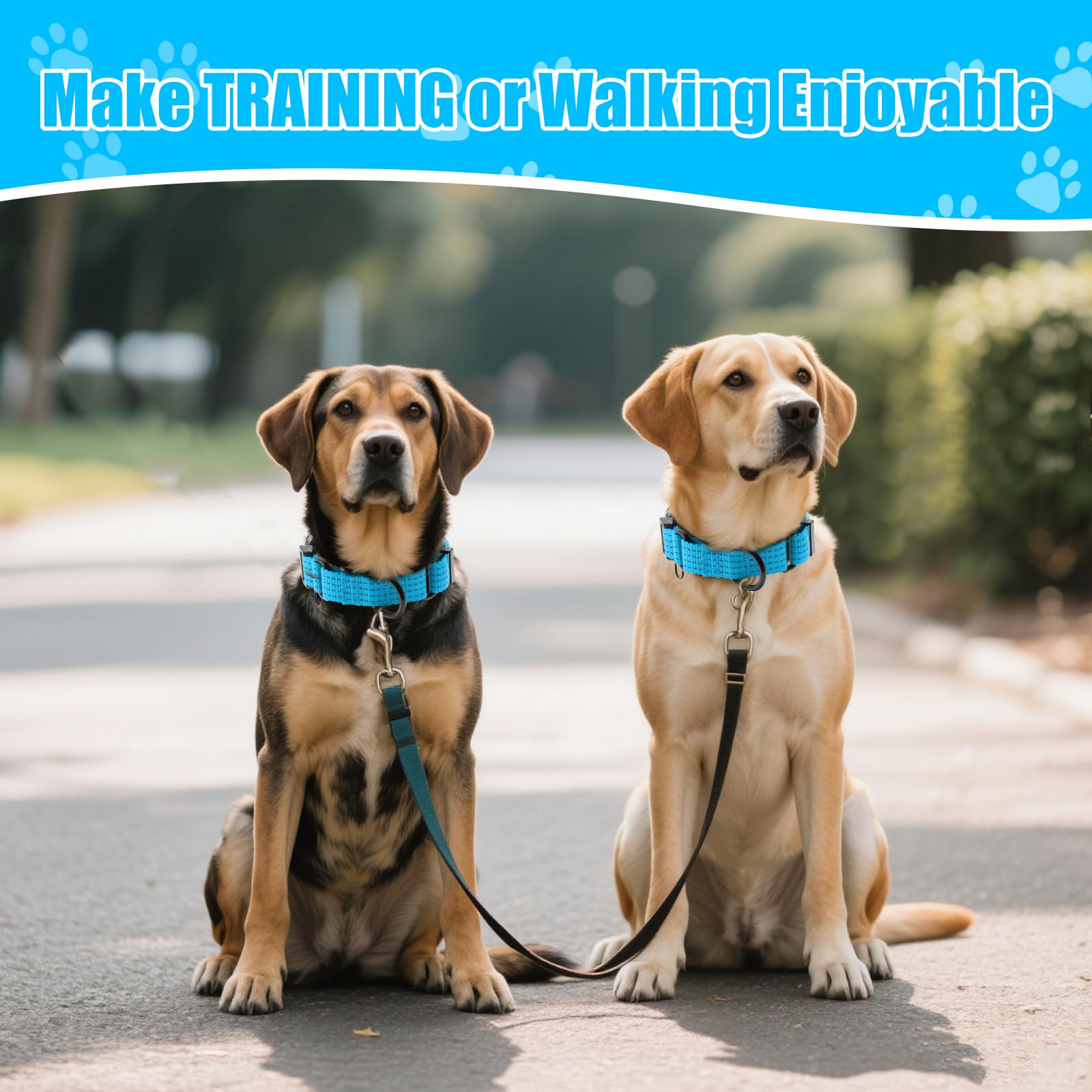JOOCPUP collar martingale para paseos diarios y entrenamiento