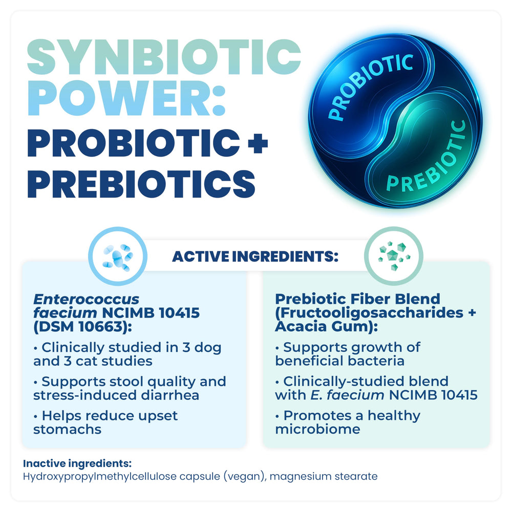 Jope Synbiotic GB-01: polvo mezclado con comida para una dosificación simple.