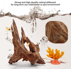 Jorewood madera flotante para terrario, ramas porosas crean cuevas para reptiles.