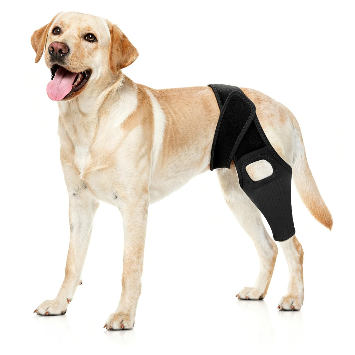 Jorme rodillera para perro en el frente, soporte estable para caminar
