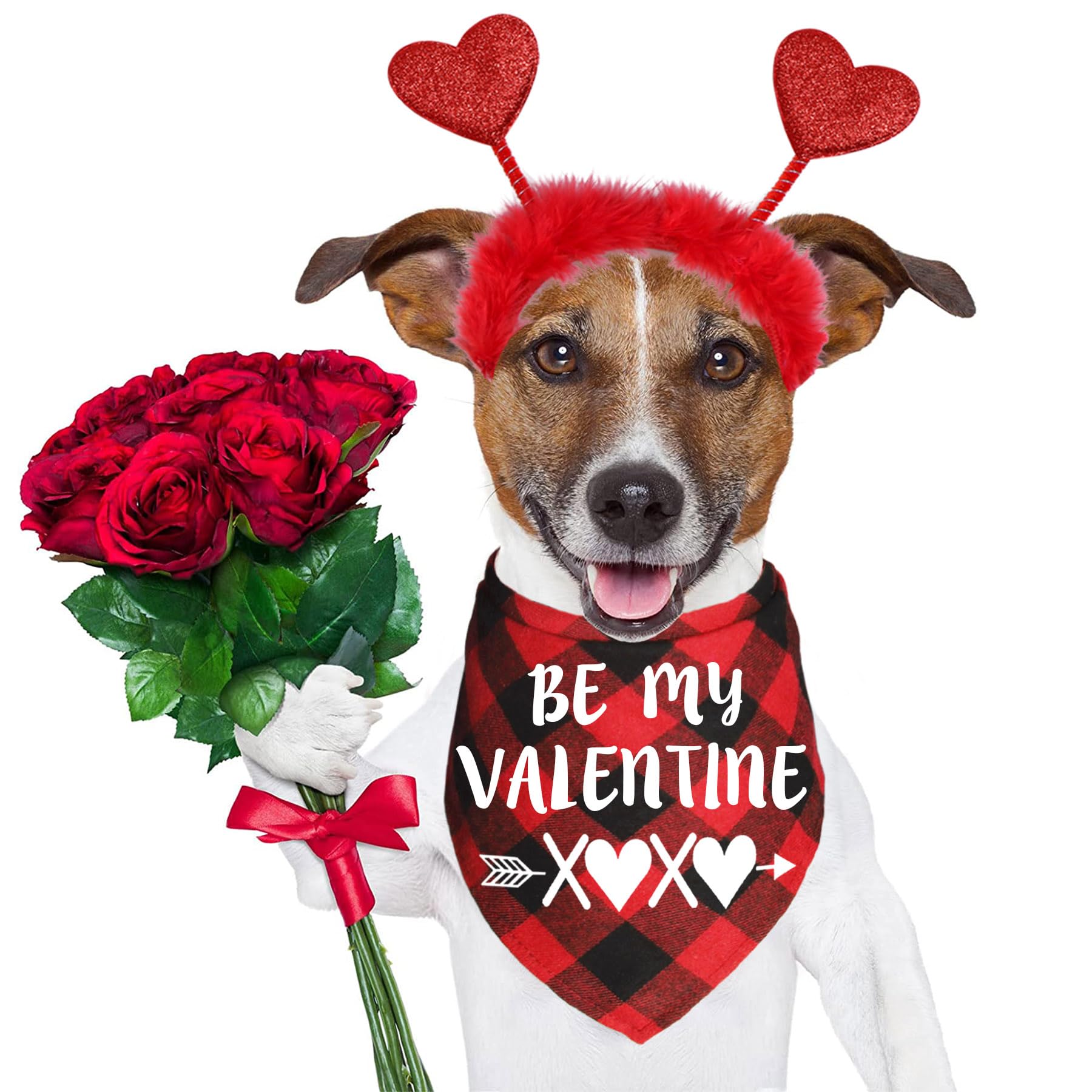 Bandana JOTFA 30 pulgadas, adecuada para perros pequeños a medianos.