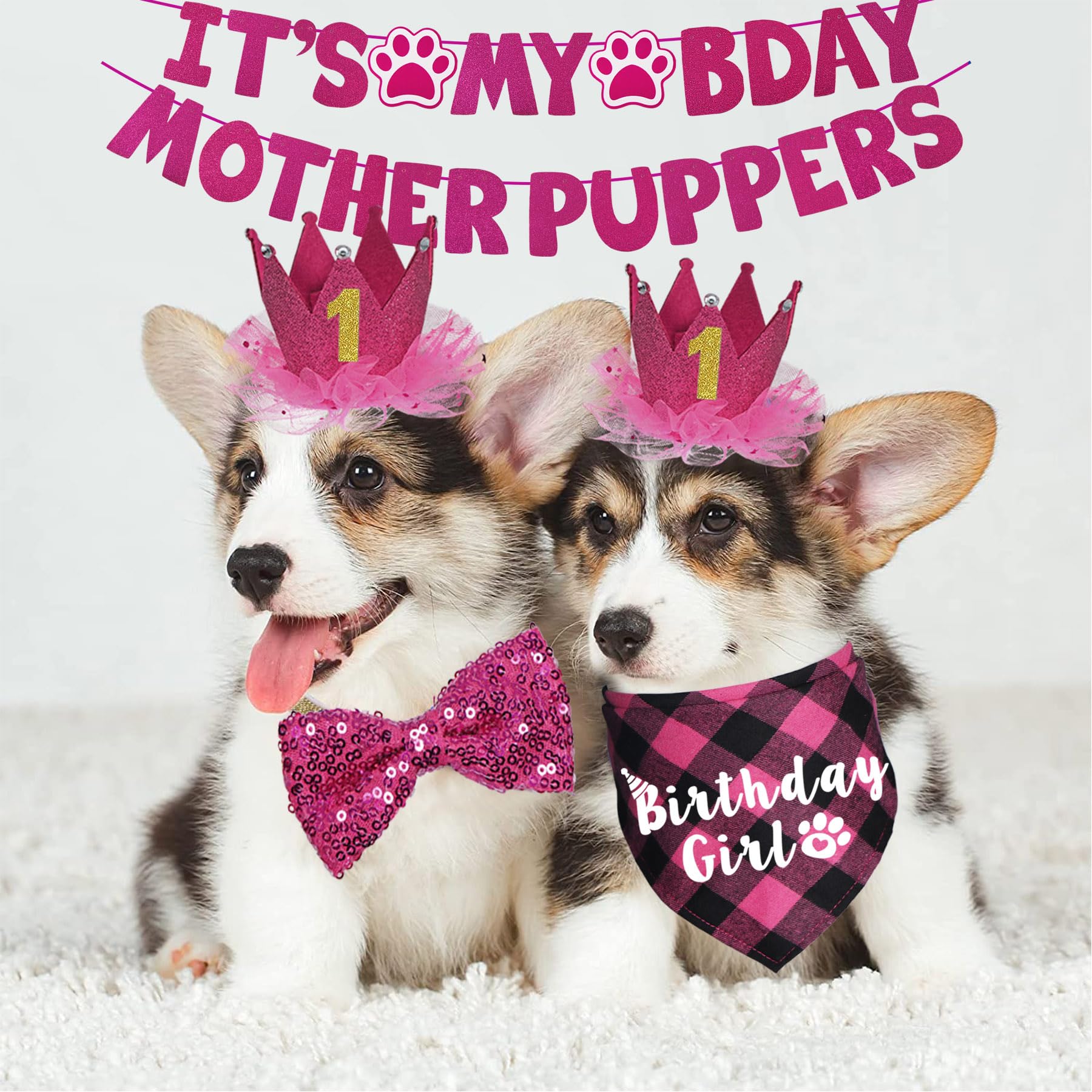 JOTFA sombrero de cumpleaños para perro en rosa, perfecto para sesiones de fotos