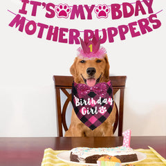Gorro de cumpleaños rosa JOTFA para perros pequeños a medianos