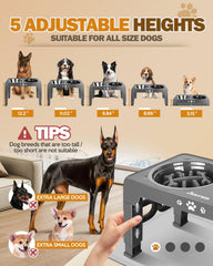 Jovrun raised dog feeder stand with dishwasher safe bowls and easy clean setup