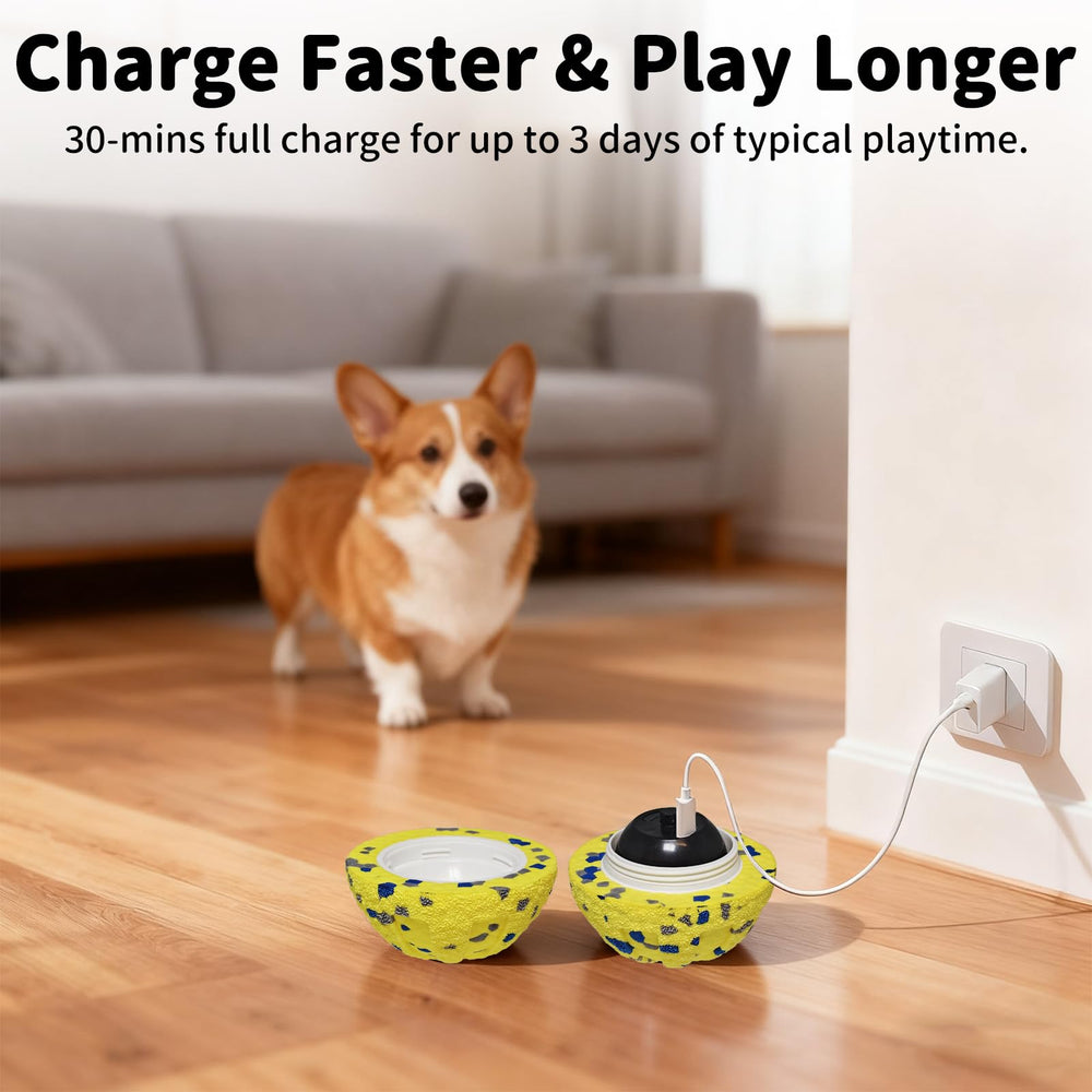 JoyBruko juguete perro uso casa exterior, ideal para juego en interiores o exteriores.