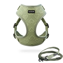 Arnés JoyCrafted-FBL sin tirones verde para paseos cómodos.