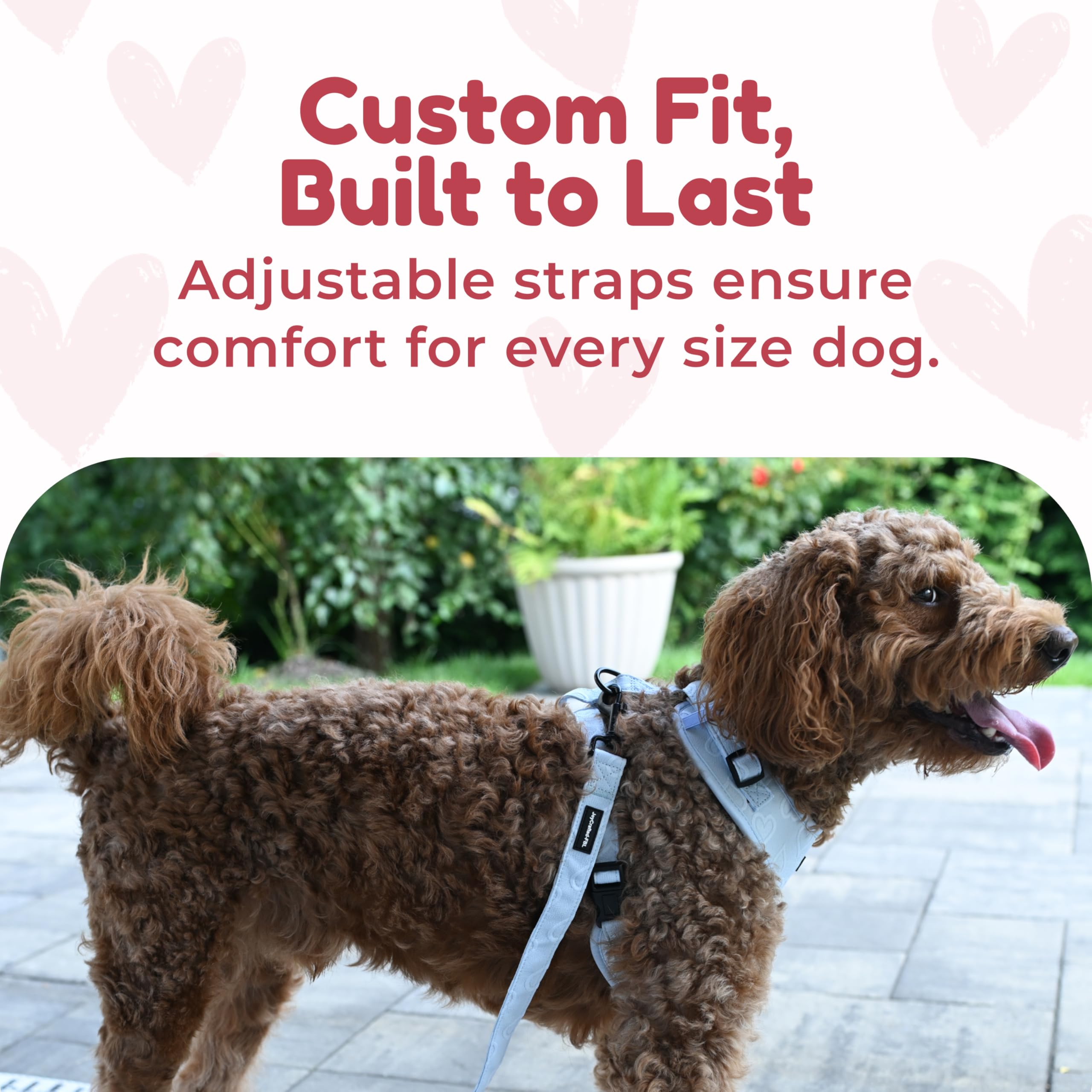 JoyCrafted-FBL correa para perro, diseño coordinado para paseos diarios.
