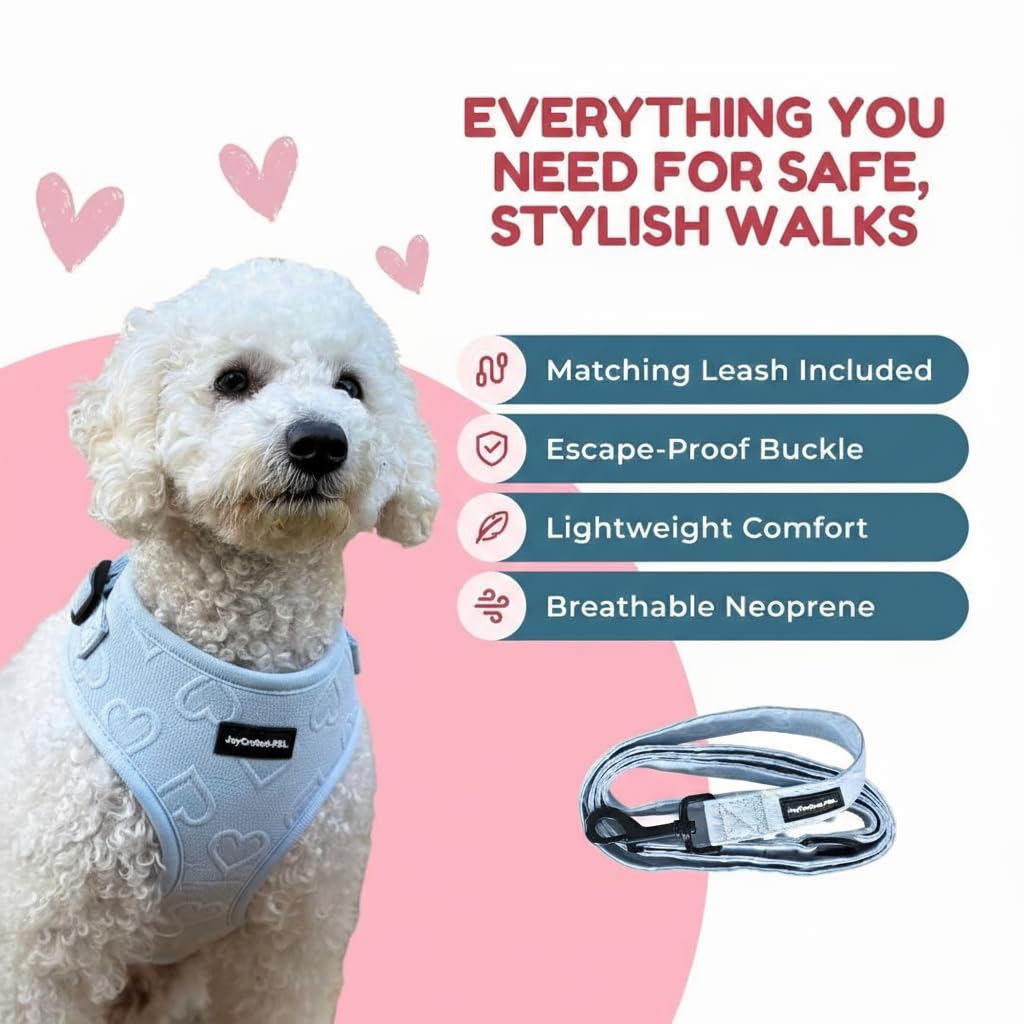 JoyCrafted-FBL diseño de corazones para perro, añade estilo durante el paseo.