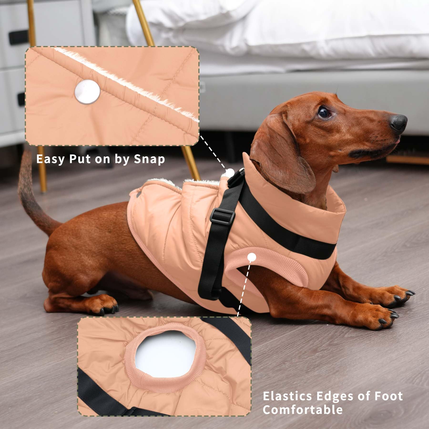 JoyDaog abrigo ligero y cálido ideal para paseos diarios en invierno.