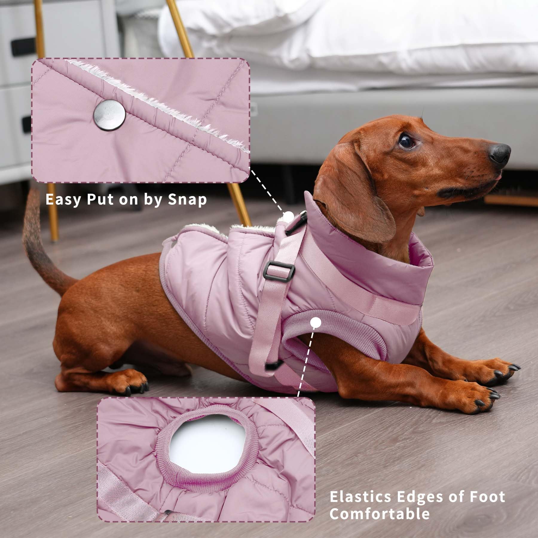 JoyDaog diseño anti viento protege al perro durante paseos al aire libre.