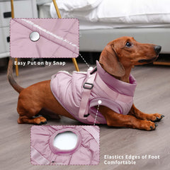 JoyDaog diseño anti viento protege al perro durante paseos al aire libre.