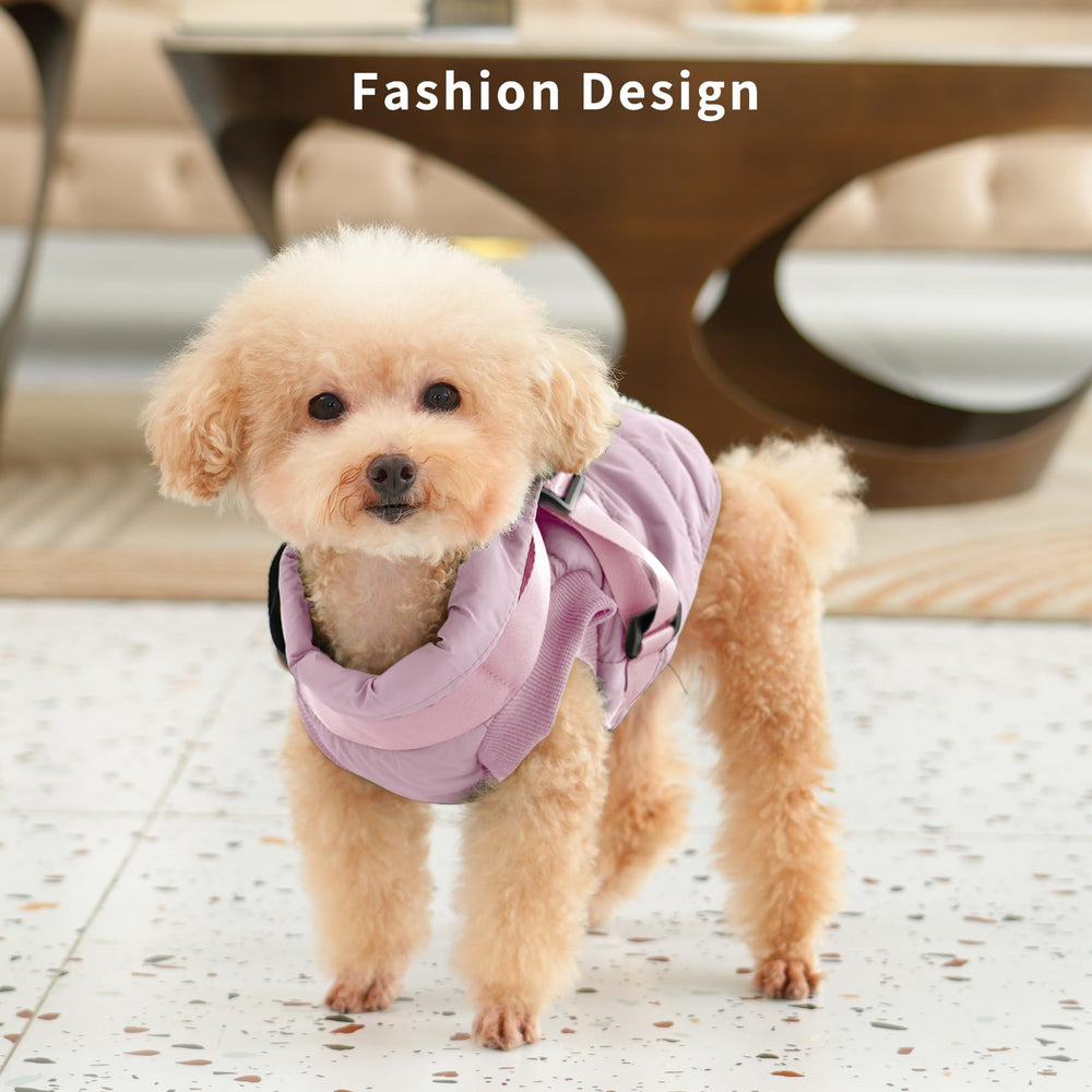 JoyDaog abrigo ligero ideal para paseos diarios con clima frío.