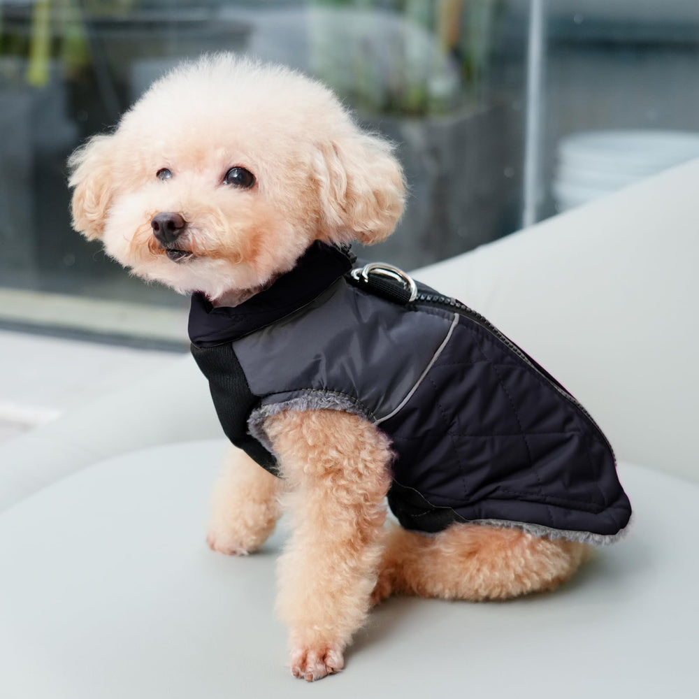 JoyDaog abrigo impermeable para perro pequeño con bloque de color rojo y gris