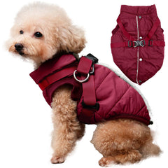 JoyDaog abrigo para perro con arnés incorporado, cómodo para paseos fríos.