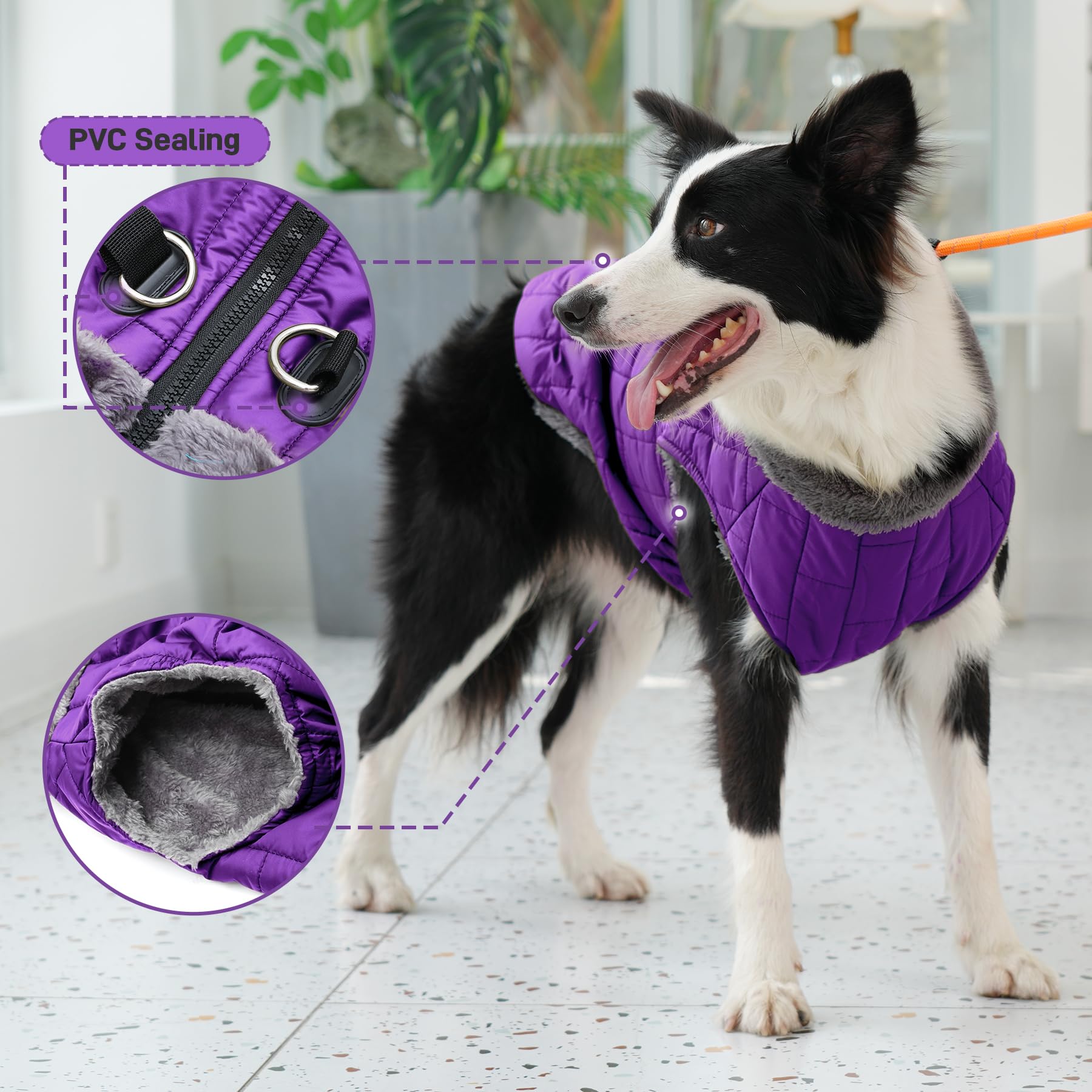 JoyDaog abrigo para perro con diseño de collar y protección contra el viento.