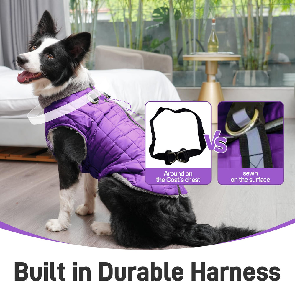 JoyDaog abrigo perro con elástico abdominal para mayor comodidad.