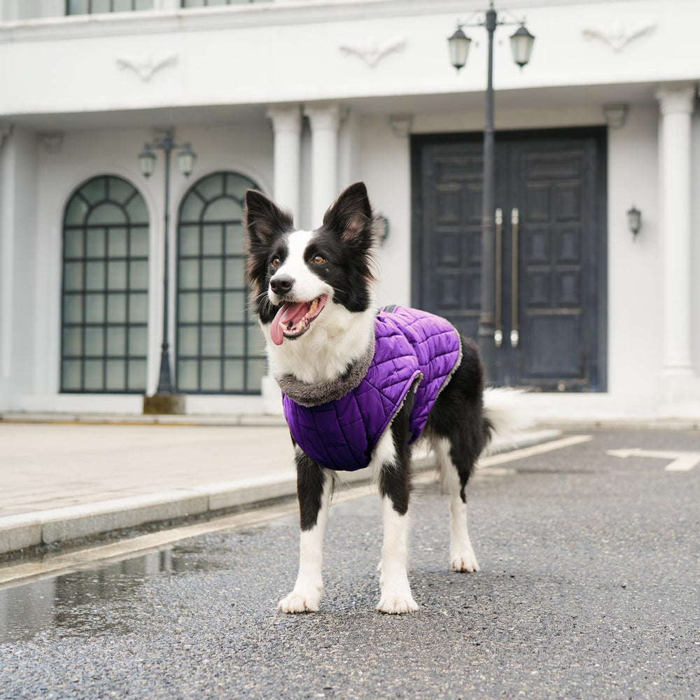 JoyDaog abrigo perro lavable a máquina y a mano para facilitar limpieza.