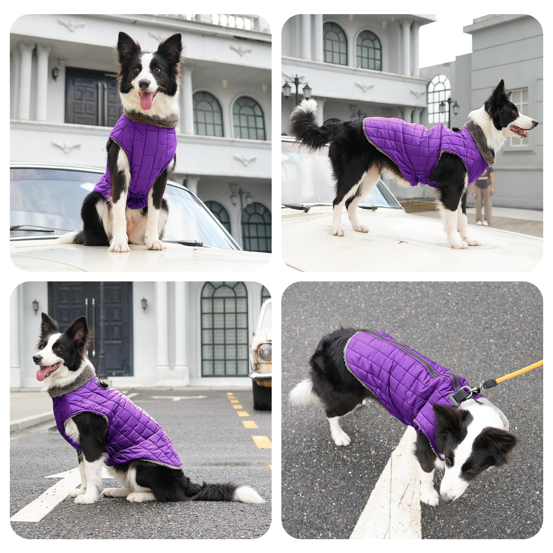 JoyDaog abrigo para perros grandes talla XXL con ajuste cómodo.