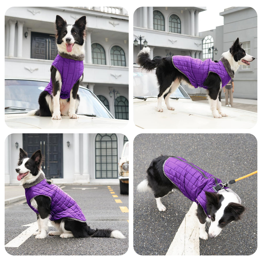 JoyDaog abrigo para perros grandes talla XXL con ajuste cómodo.