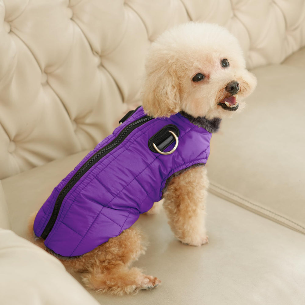 JoyDaog abrigo perro con tela impermeable y cuello de felpa elegante.