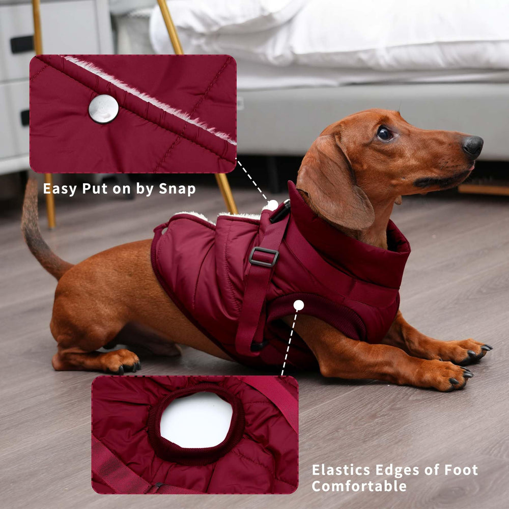 JoyDaog arnés integrado en la chaqueta para perro, seguridad y comodidad.