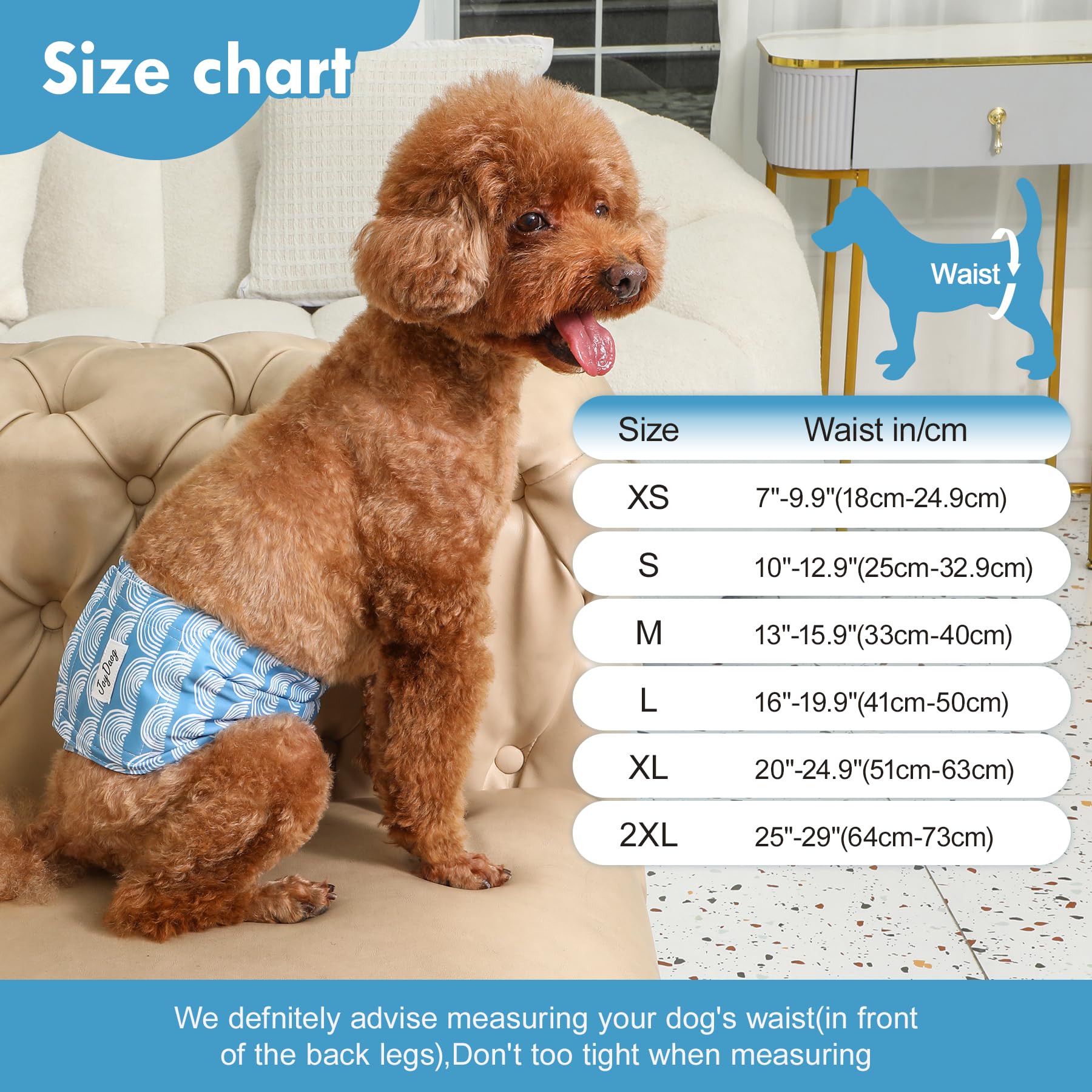 JoyDaog banda absorbente para perro macho, mantiene el piso seco.