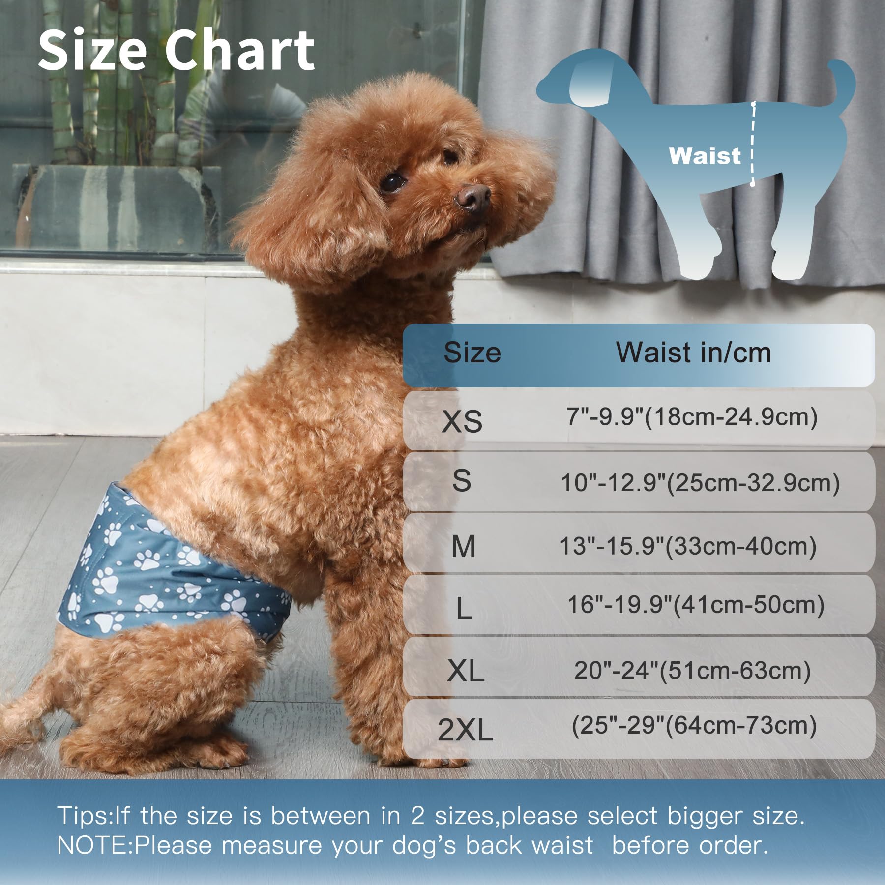 JoyDaog banda de vientre macho muestra absorción potente para menos goteos.