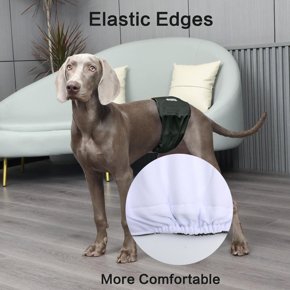 JoyDaog bordes elásticos para ajuste seguro y cómodo.