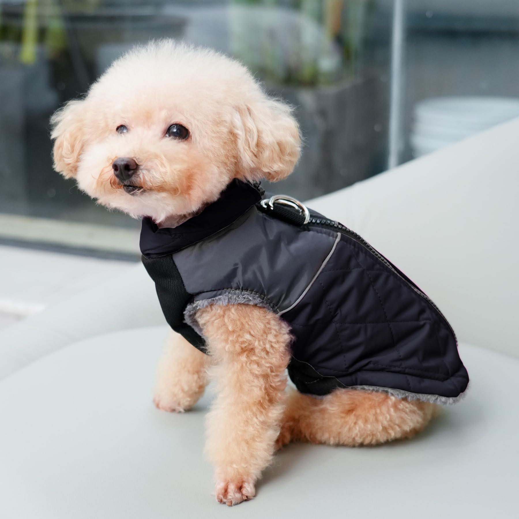JoyDaog capa impermeable con bloqueo de color, estilo práctico.