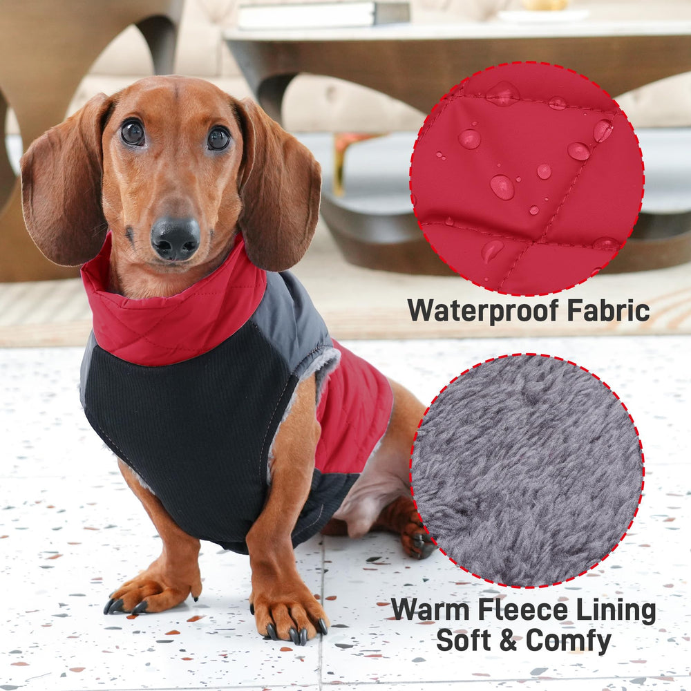JoyDaog capa para perro grande, elástico abdominal para mayor comodidad durante paseos.
