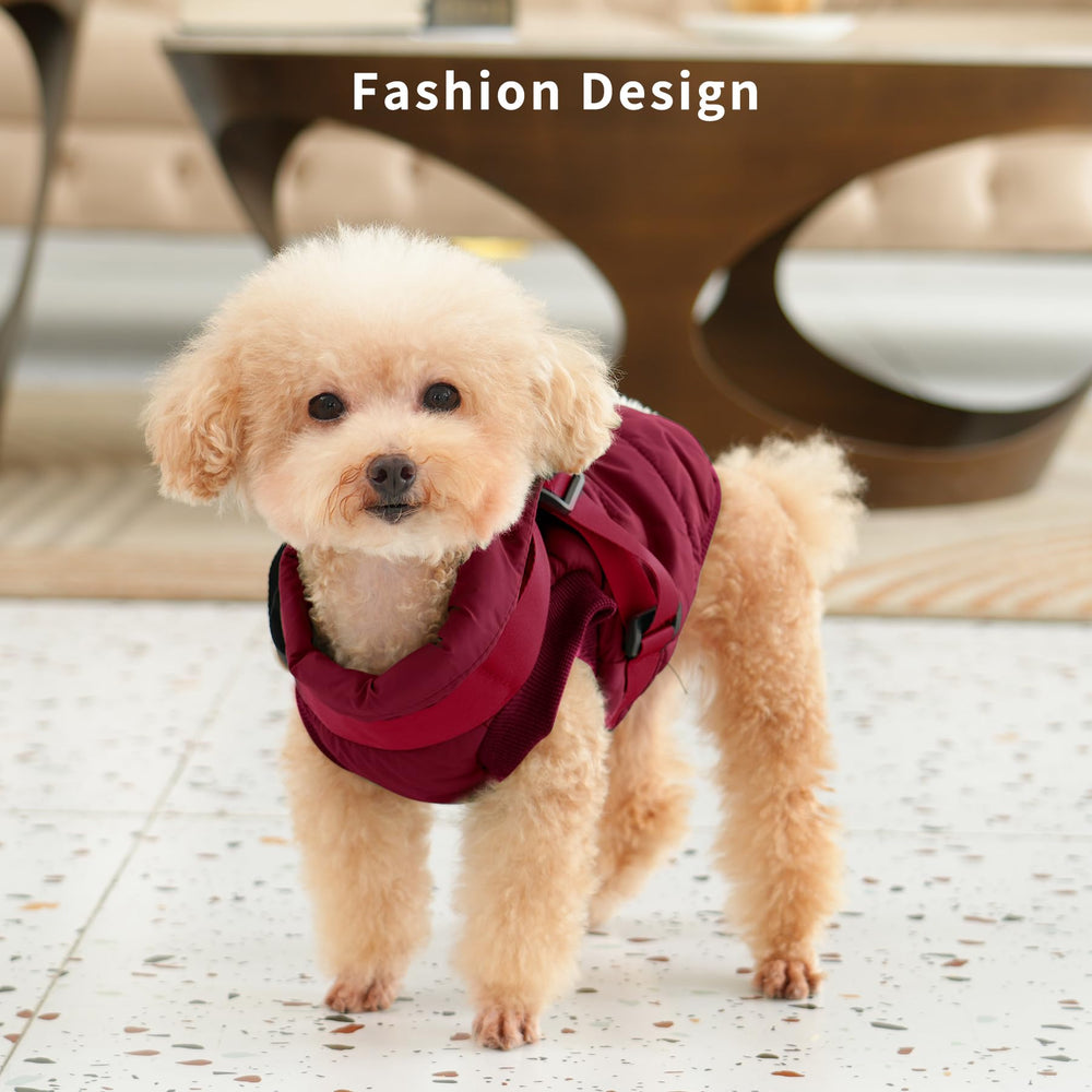 JoyDaog diseño ligero que mantiene calor sin limitar movimientos.