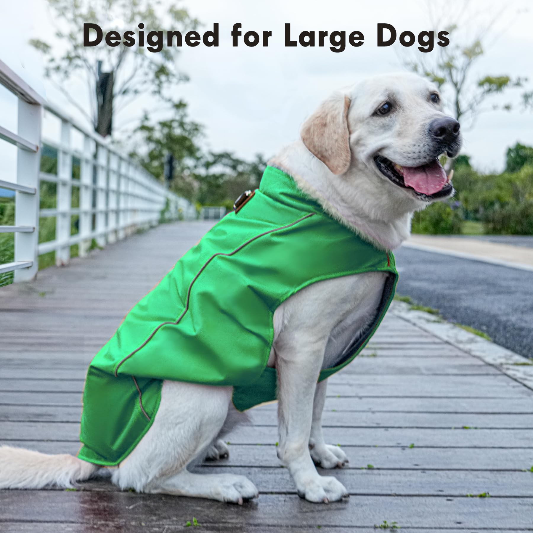JoyDaog lavable a máquina para limpieza fácil.