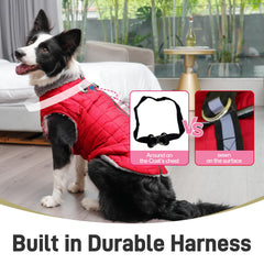 JoyDaog chaleco impermeable con anillas D, perfecto para paseos en lluvia