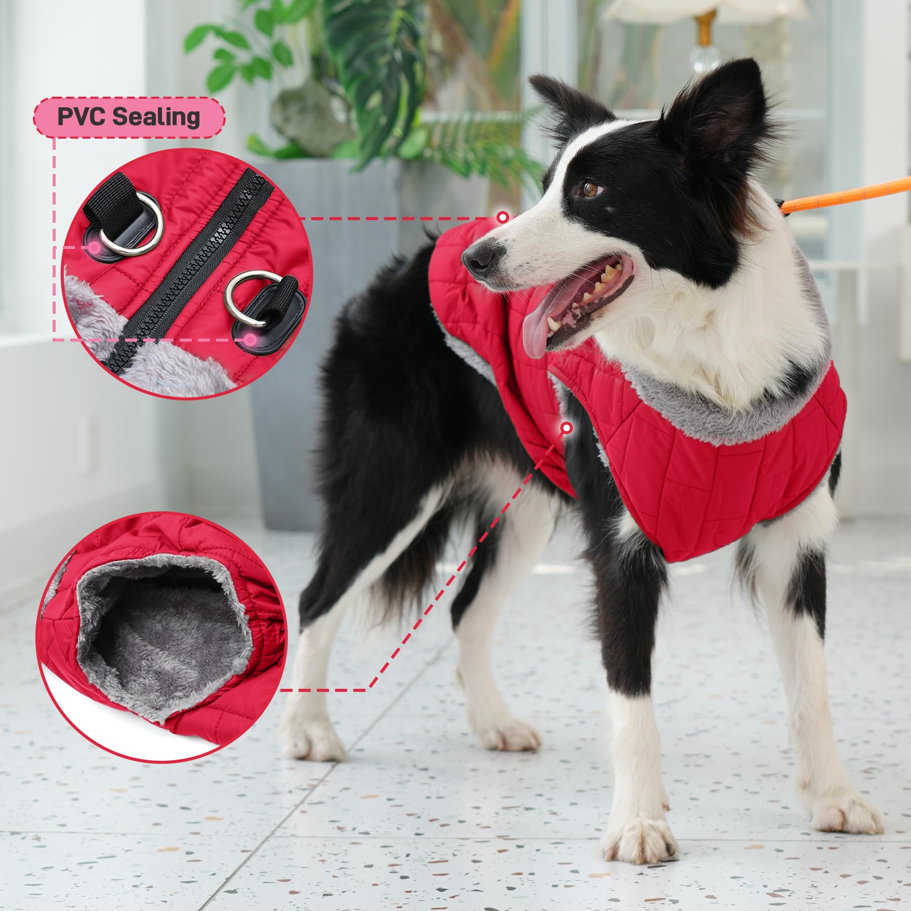 JoyDaog chaleco ligero y a prueba de viento para perros pequeños