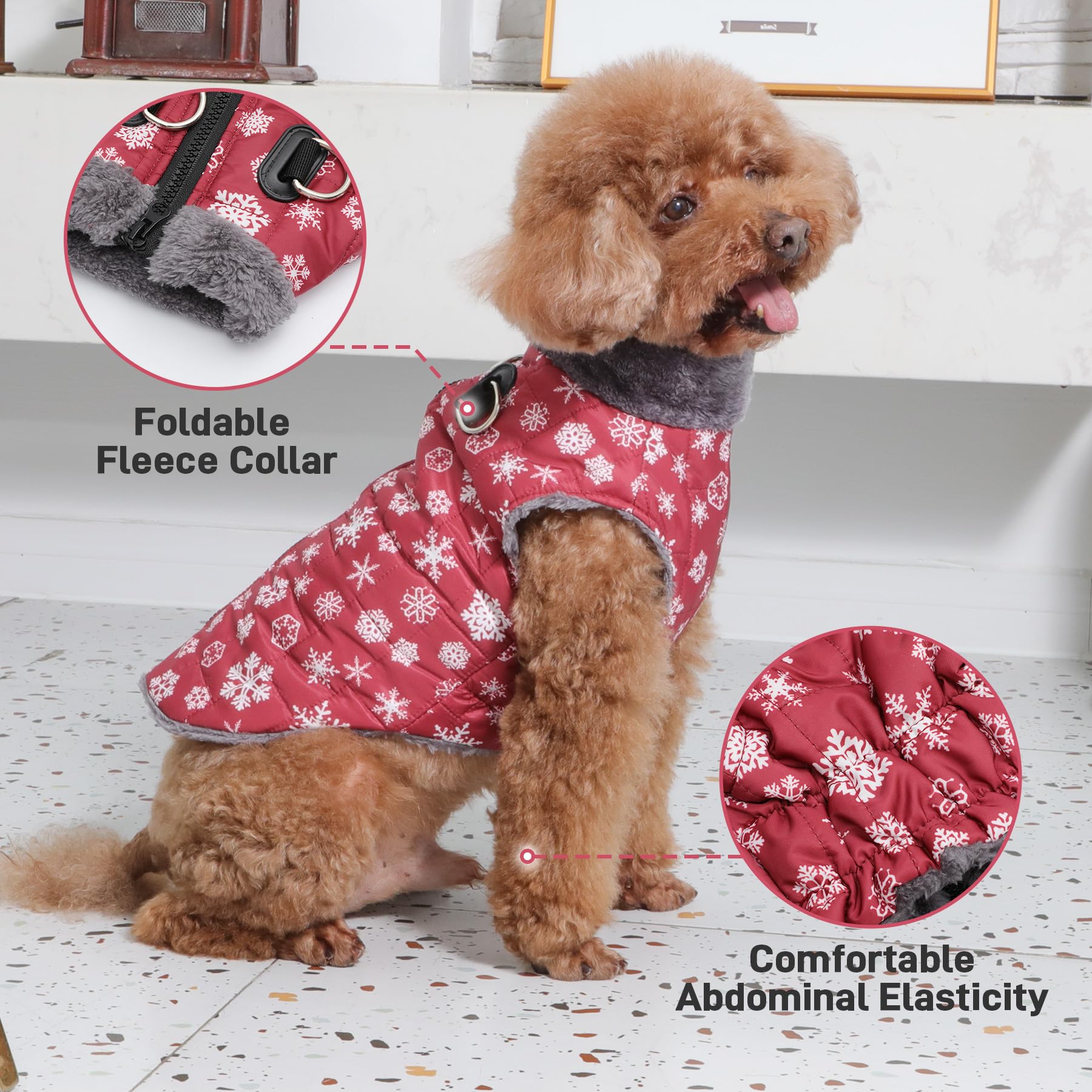 JoyDaog chaqueta ligera ideal para paseos invernales