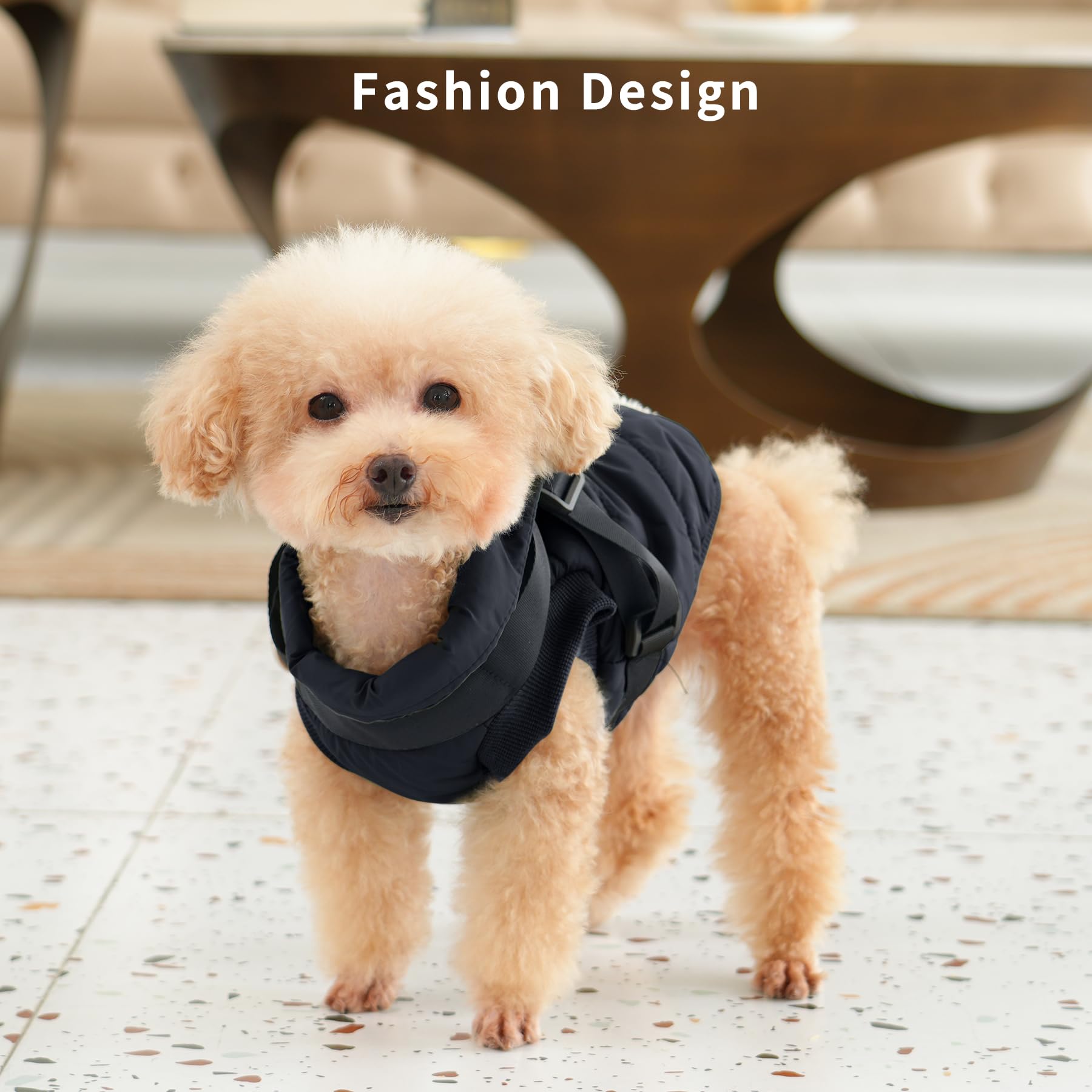 Chaqueta JoyDaog con arnés, color negro para talla grande y ajuste cómodo