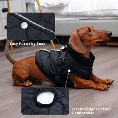 Chaqueta JoyDaog espalda con forro polar aísla del viento