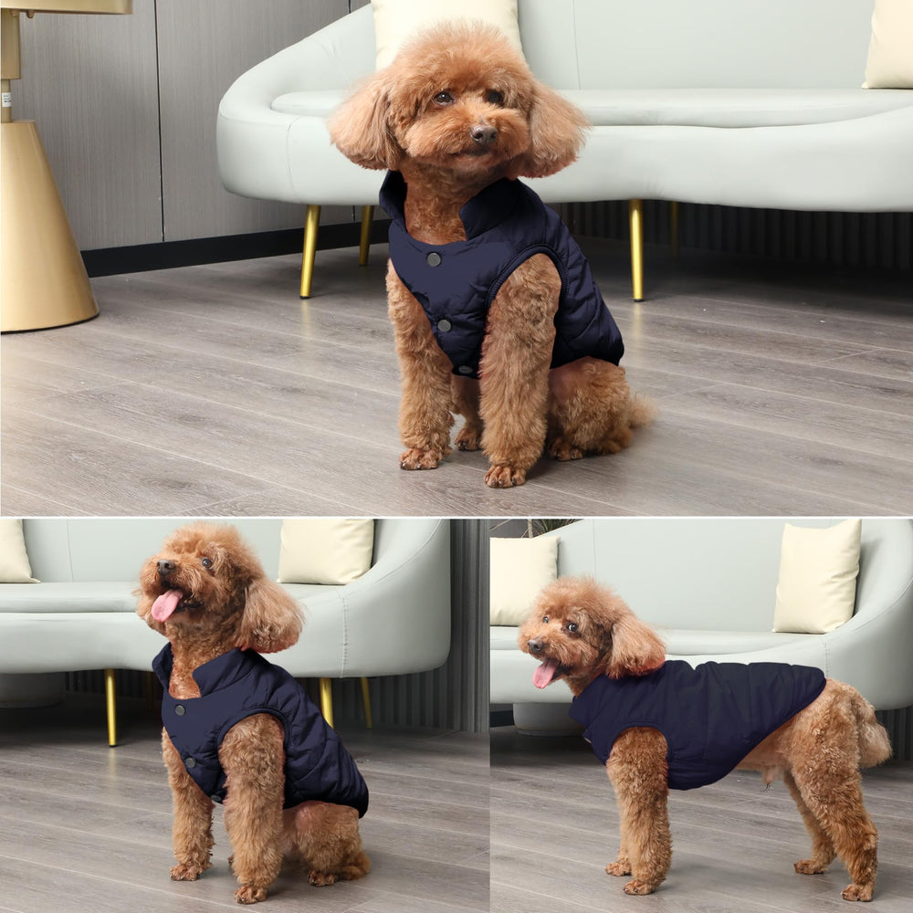 JoyDaog chaqueta azul XS, diseño ligero para movimientos cómodos en paseos diarios.