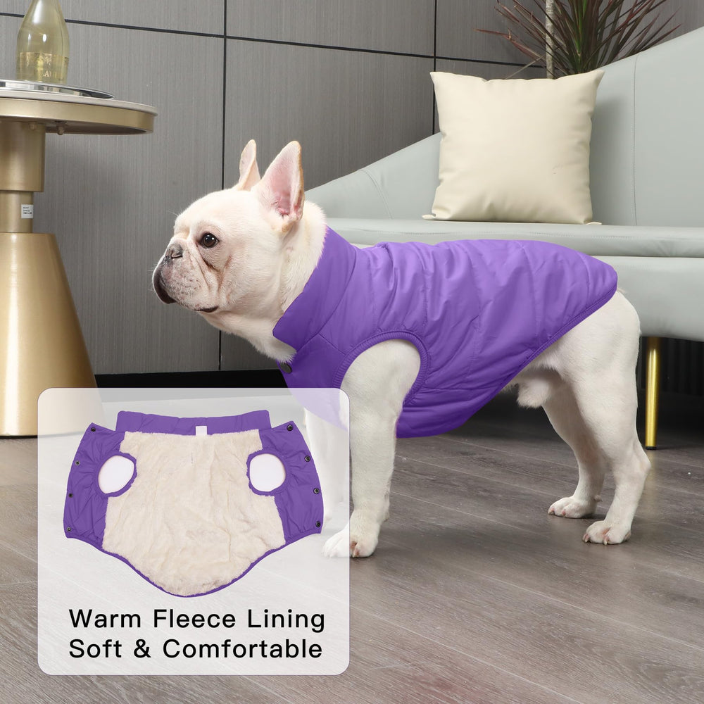 JoyDaog chaqueta perro cierre metalico: ponla y quítala con facilidad.