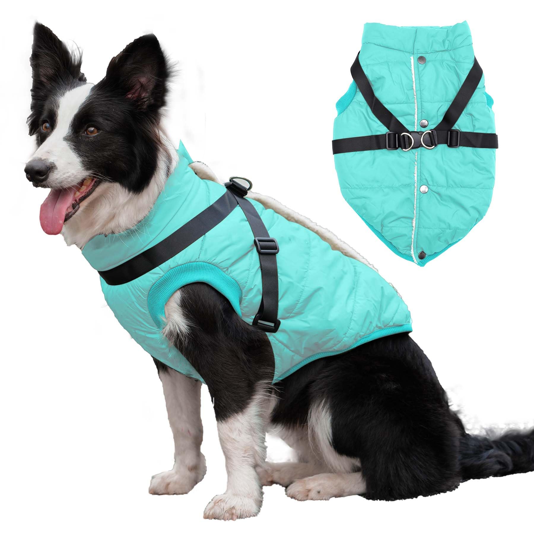 Chaqueta JoyDaog con arnés integrado para paseos seguros y cómodos.