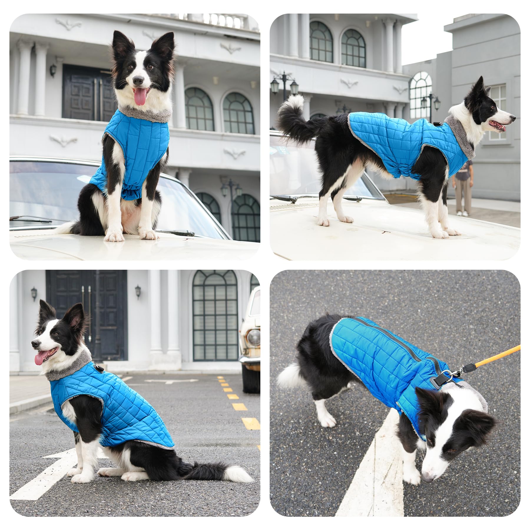JoyDaog cuello de felpa añade confort y abrigo suave