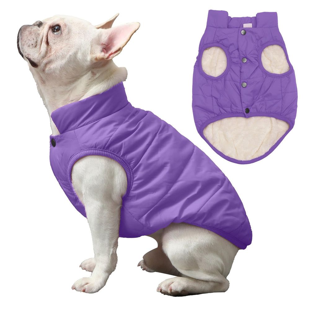 JoyDaog chaqueta perro detras: estilo y ajuste cómodo en días fríos.