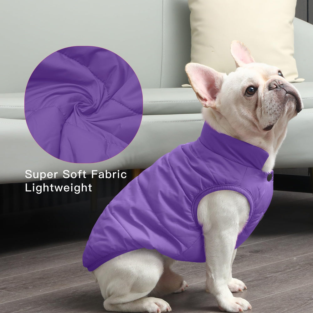Diseño de invierno JoyDaog para paseos diarios