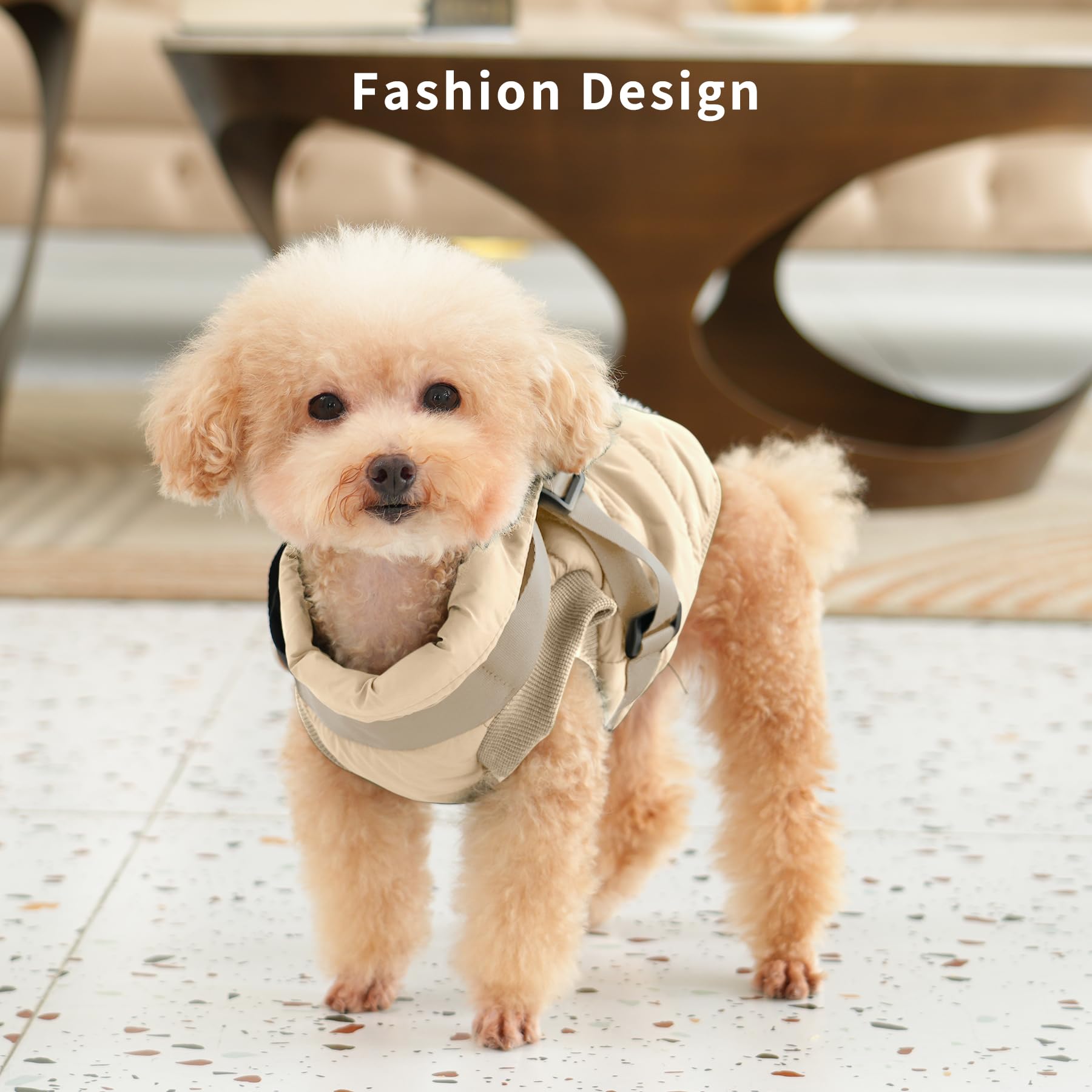 JoyDaog diseño ligero protege del viento sin abrumar al perro