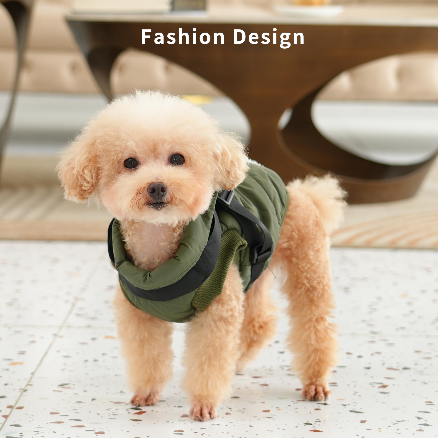 JoyDaog chaqueta ligera para perro, diseño práctico para actividades al aire libre.